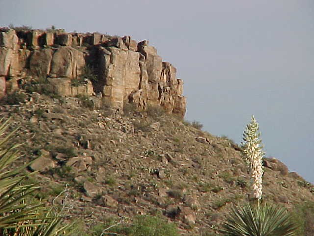 Big Bend Trip 2003 Texas, photograph 0027