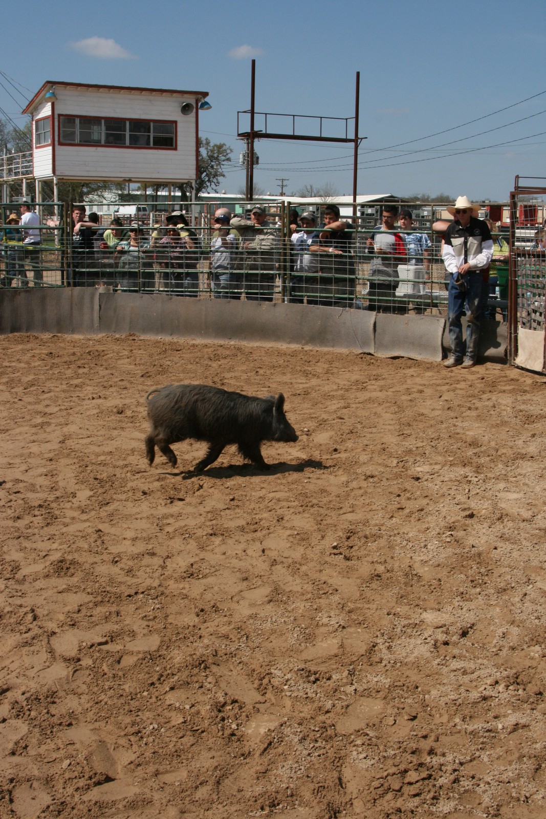 Bandera,, photograph 0034