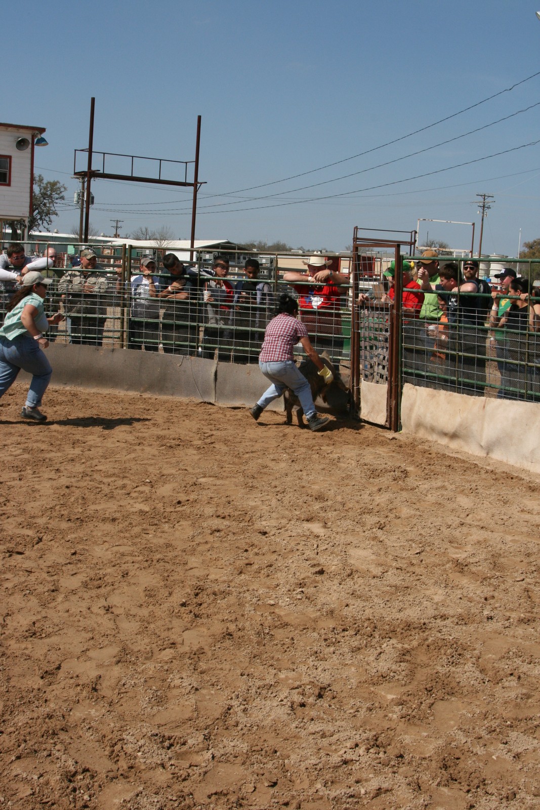 Bandera,, photograph 0047